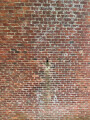 Larpool Viaduct Arch Brickwork, Whitby